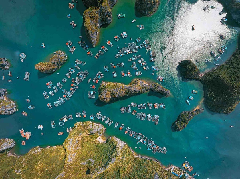 Cai Beo Fishing Village: The Ultimate Guide to Vietnam’s Ancient Gem (2026)