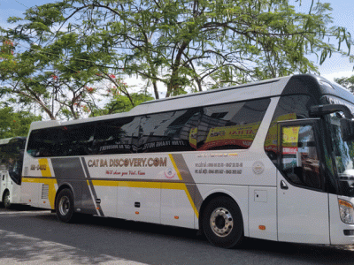 Công ty du lịch lữ hành Cát Bà Discovery