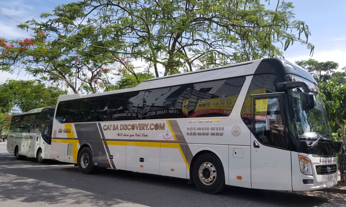 Công ty du lịch lữ hành Cát Bà Discovery