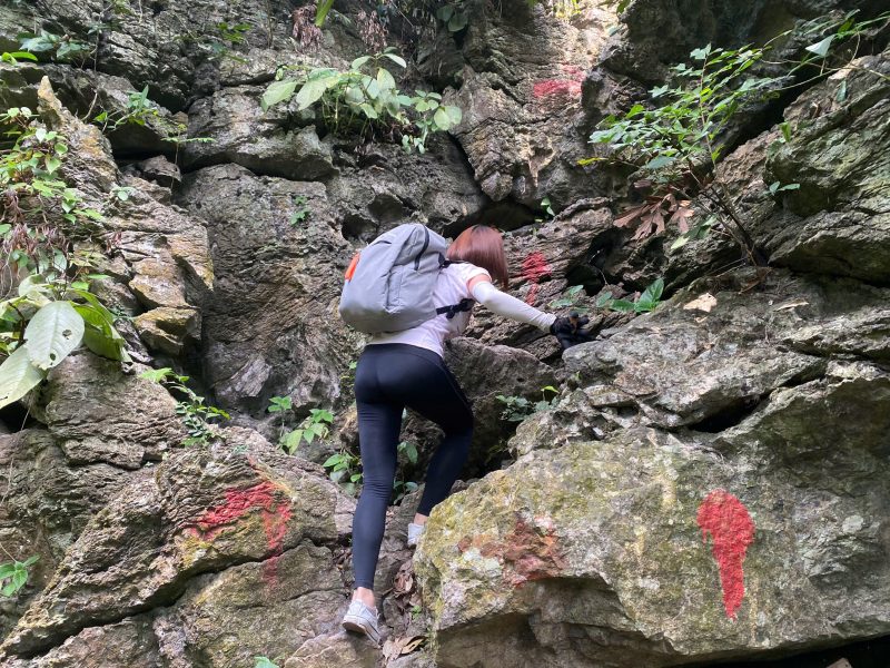 du khách trekking tại vườn quốc gia Cát Bà cùng với Cát Bà Discovery