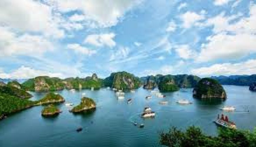 Cát Bà Có Gì Đặc Biệt? Top 6 Lý Do Gia Đình Bạn Nhất Định Phải Đến Đây Dịp Hè Này