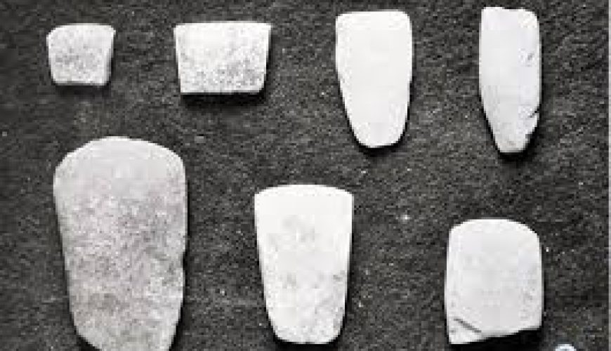 Đến Cát Bà để trải nghiệm cuộc sống yên bình của làng chài cổ Cái Bèo