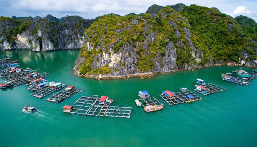 Những lưu ý khi đi du lịch Cát Bà cực hữu ích mà ai cũng nên biết