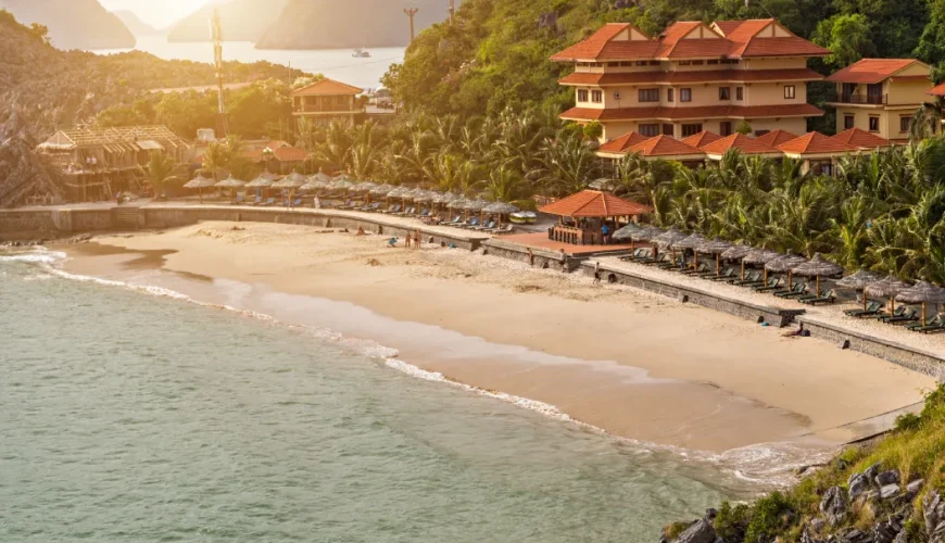 Cát Bà Discovery tổ chức tour du lịch Cát Bà Lan Hạ chuyên nghiệp