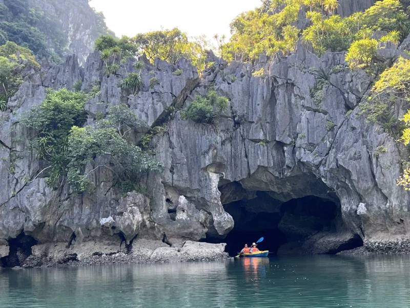 Du lịch Cát Bà như thế nào & những điều cần biết-Cát Bà Discovery