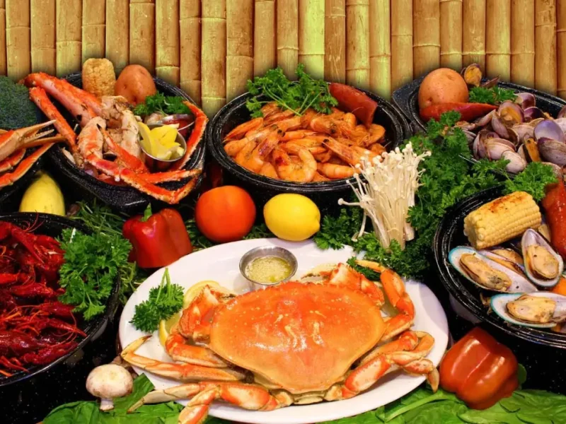 du lich cat ba an gi