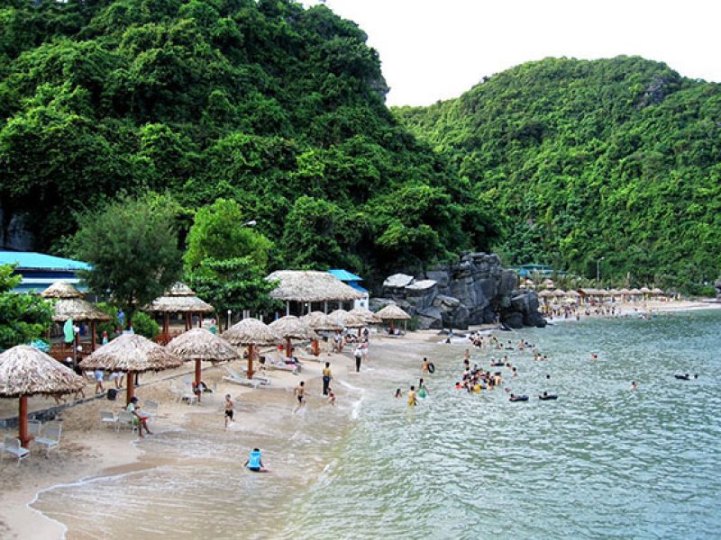 Du lich cat ba chi phi 1