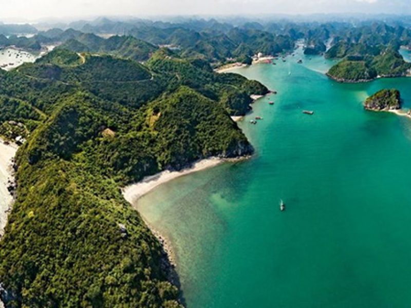 Du lich cat ba chi phi 1 