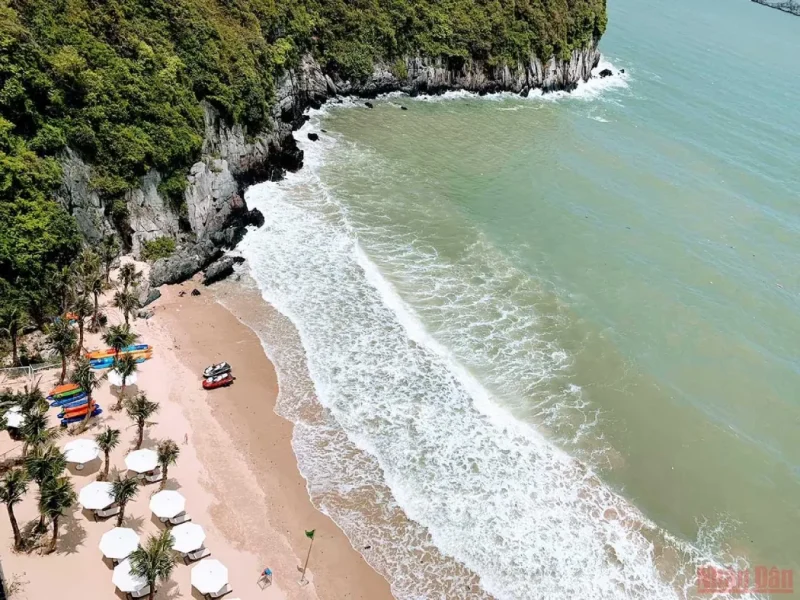 Du lich cat ba choi gi 