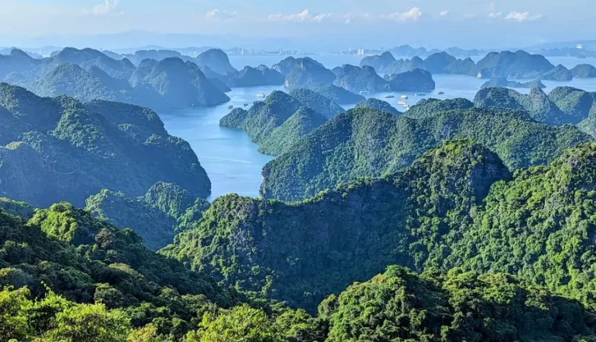 Is Cat Ba Worth Visiting in 2026? The Honest Truth vs. Ha Long Bay