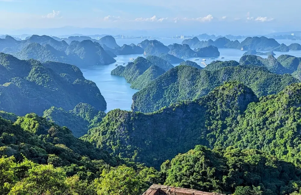 Is Cat Ba Worth Visiting in 2026? The Honest Truth vs. Ha Long Bay