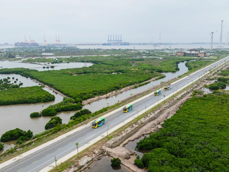 Khám phá Vườn Quốc Gia là trải nghiệm không thể bỏ lỡ khi đi kinh nghiệm đi Cát Bà 2 ngày 1 đêm