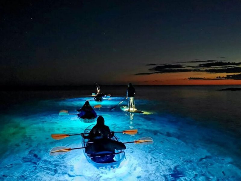 Magical bioluminescent plankton illuminating the dark waters of Lan Ha Bay at night
